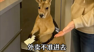 You won't let me down, will you?