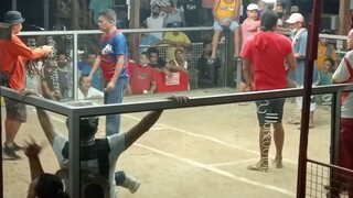 pa champion talisay