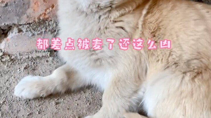 Bekerja dalam kelompok