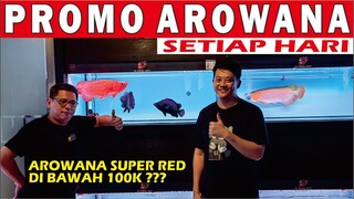 PROMO AROWANA SUPER RED MAKIN MURAH TERLENGKAP DI SHOWROOM MEWAH