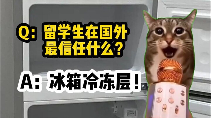 【Meme kucing】Apa yang paling dipercaya oleh mahasiswa internasional? Lapisan pembeku di dalam lemari