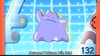 pokemon có khả năng BIẾN HÌNH siêu HÀI