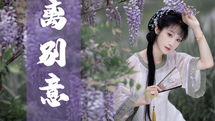 【钰子】【离别意】【折扇】【紫藤花】—— 希望大数据可以把我推给喜欢扇舞的小可爱们！