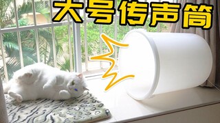 为叫猫起床，自制传声筒，猫很喜欢