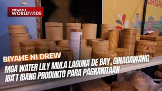 Mga water lily mula Laguna De Bay, ginagawang iba’t ibang produkto para pagkakitaan | Biyahe ni Drew