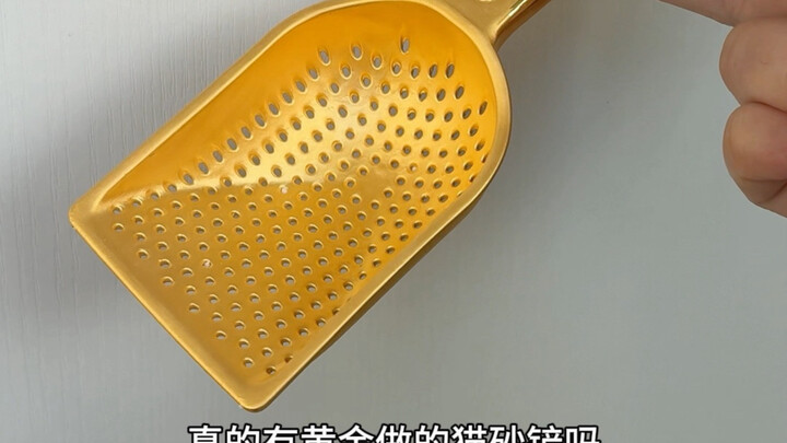 What’s it like when humans are outshined by cats?