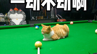 เพื่อนเอ๊ย แกนี่ช่างอยู่เฉยๆ จริงๆ เลย