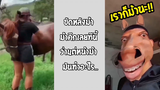 รวมคลิปตลกๆ : ตัวเป็นคนเเต่ใจเป็นม้านะ…เตรงจะสนใจเราไหม!!?