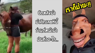 รวมคลิปตลกๆ : ตัวเป็นคนเเต่ใจเป็นม้านะ…เตรงจะสนใจเราไหม!!?