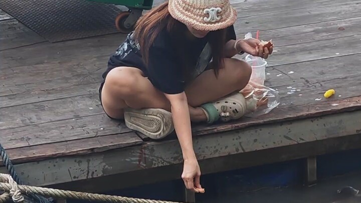 ให้อาหารปลาวัดเกาะแก้วกันครับ