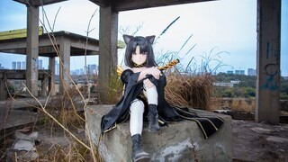 孤独蔓猫猫