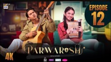 parwarish Episode 12. Pakistan drama