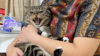 Stinky Juanbao is teasing grandma again!!!