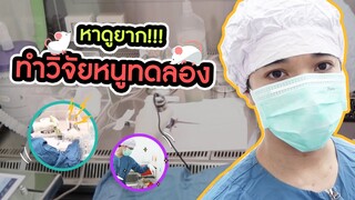 หาดูยาก!!! หมอริทพาไปดูการทำวิจัยหนูทดลอง