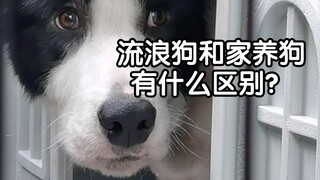 It turns out that being just a little short in love can make such a huge difference...