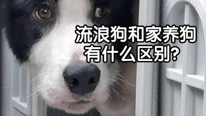 Hóa ra chỉ thiếu một chút yêu thương, lại khác biệt đến vậy…