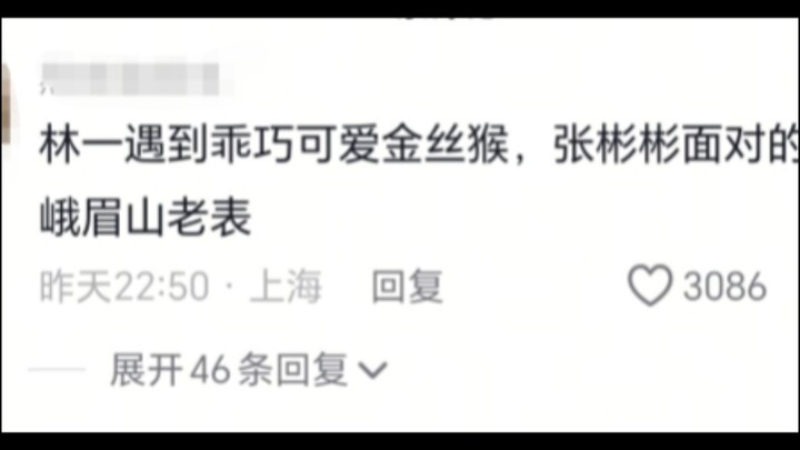 Zhang Binbin: It just so happens I arrived when Ding wasn’t there. Lin Yi ran into a golden snub-nos