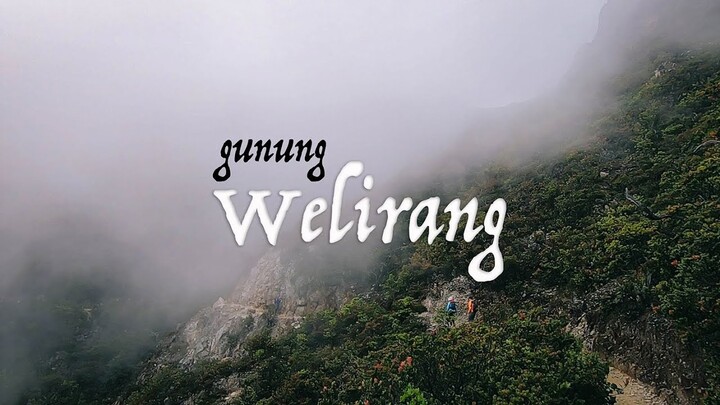 Pendakian Gunung Arjuno Welirang via Tretes - Bagian Pertama | Tanjakan Gila ke Lembah Kijang