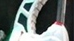 Fighting enthusiasts