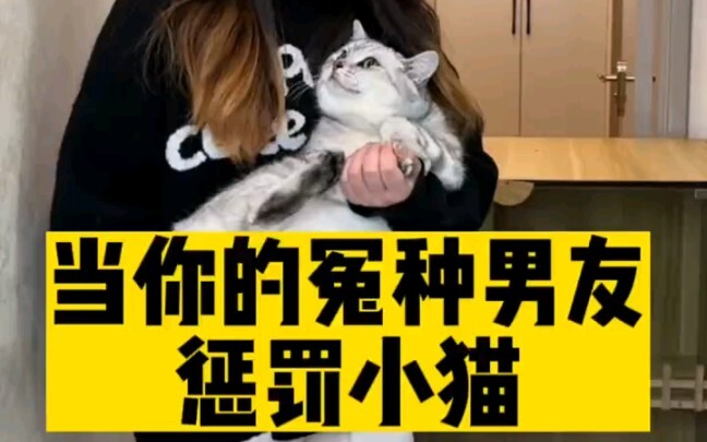 Bagaimana pacar tololmu menghukum si kucing kecil?