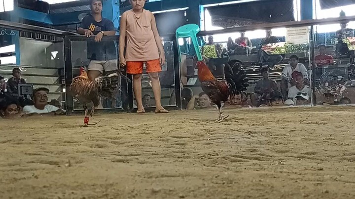 nakuha premyo fastest kill ng bulik natin 🫡