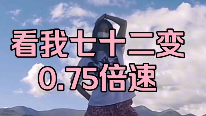 【TF四代】看我七十二变！ X0.75倍速 | 半曲教程