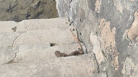 前辈们的战利品墙