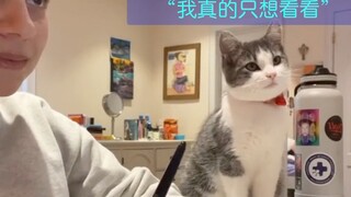 Miêu Miêu cứ trèo lên bàn làm loạn hết lần này đến lần khác. Hình như chúng ta đều hiểu lầm rồi!
