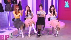 BLACKPINK Comeback Vlive [Phụ đề Vietsub]