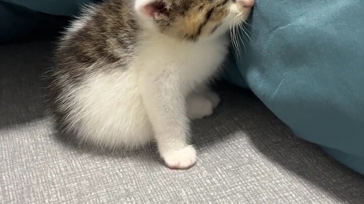 ตอนเด็กๆ เธอช่างน่ารักเสียจริงๆ