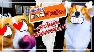 หมาพี่บี้เดอะซีรีส์ ตอน ตัดพี่ตัดน้อง l สัตว์เอ๋ย