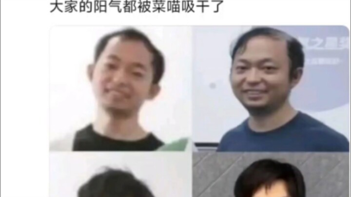 破案了蔡是吸人阳气的猫妖简称“菜喵”