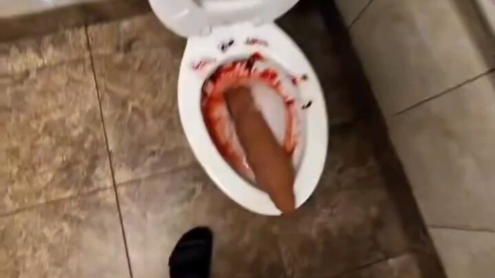 Prank with Fake Poop × 4