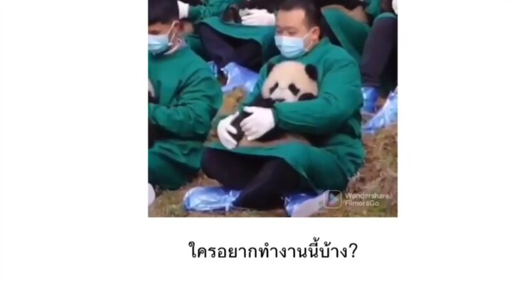 ใครอยากทำงานนี้บ้าง