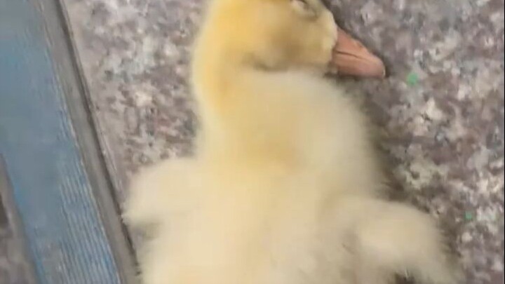 Is there still hope for this situation?