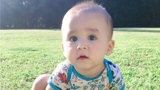 【بنتلي】 النجدة، سأموت من الكيوت!!