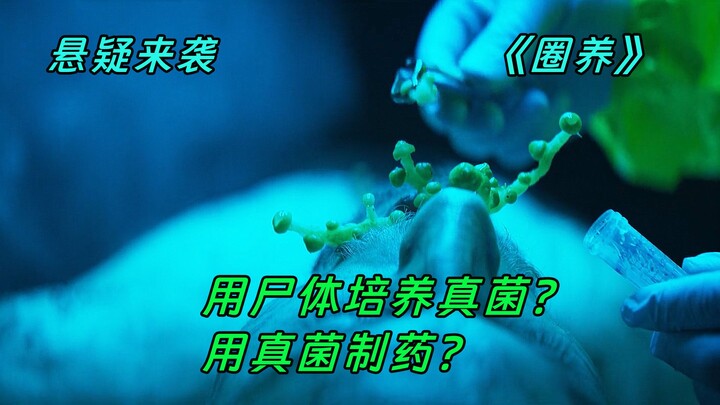 Nonton habis sekaligus film “Dipelihara”: Menggunakan tubuh S untuk membudidayakan jamur, lalu memas