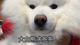 养狗用来干嘛的啊，当然是用来抱的啊