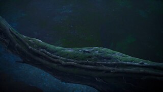 Shadow Of Heavens EPS 17 Sub Indo