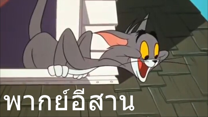 ทอมแอนเจอรี่ ไม่เห่าแต่กัด พากย์อีสาน