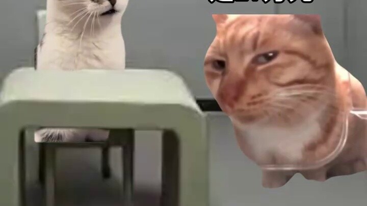 Stupid Thief: ฉันจะสอนวิธีลดผลกำไรของคุณ