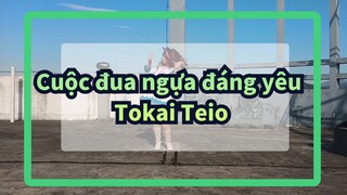 [Cuộc đua ngựa đáng yêu ] Tokai Teio! Truyền thuyết về ngựa Pyoi