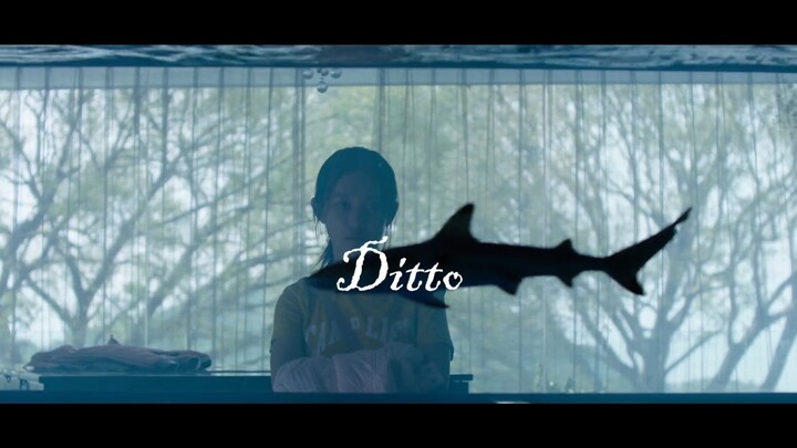 【Repost】Ditto & Guo Chuntian "Sixteen Years Old, So Crispy"