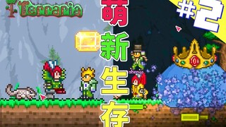 Terraria Beginner Survival 2