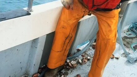 Akhirnya berhasil ditarik keluar