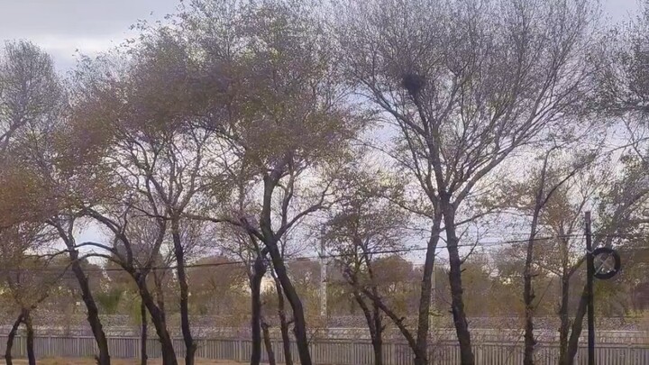 Are prices in Northeast China really that low? Let’s take a look at the real cost of living there.