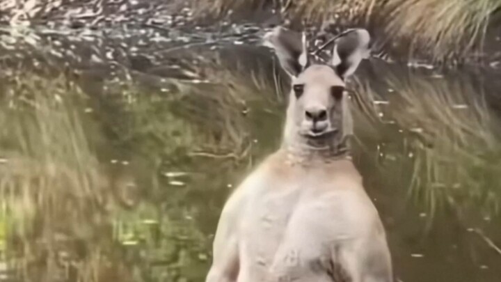 เห็นแบบนี้ ฉันควรวิ่งหนีไหม?