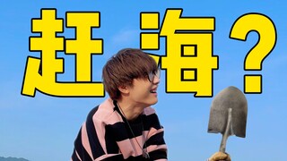 这就是赶海吗？