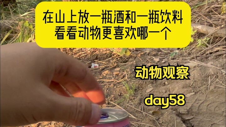 Hari ke-58 | Letakkan sebotol anggur dan sebotol minuman ringan di gunung dan lihat mana yang lebih 