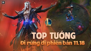 Top Tướng Đi Rừng Dị phiên bản 11.18 | Liên Minh Huyền Thoại